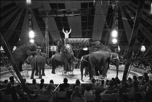 Gastspiel des Zirkus Althoff auf dem Messplatz in Karlsruhe