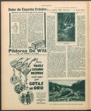 La caza del zorro : En las regiones andinas