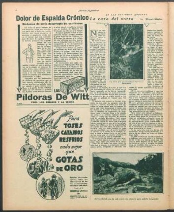 La caza del zorro : En las regiones andinas