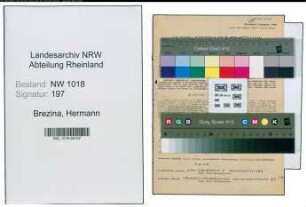 Entnazifizierung Hermann Brezina , geb. 29.01.1895 (Goldschmied)