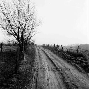 Wirtschaftsweg: rechts und links Zäune: links Büsche