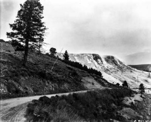 Mammoth Hot Springs : Blick auf die Kalkterrassen der Mammoth Hot Springs.