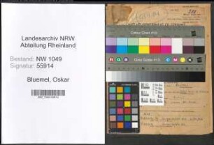 Entnazifizierung Oskar Bluemel , geb. 20.08.1907 (Angestellter)