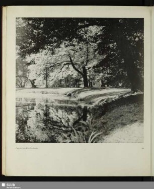 Park bei der Friedenskirche