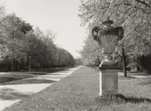 Dresden-Altstadt. Großer Garten (1683, J. F. Karcher; 1873-1895, K. F. Bouché). Querallee. Eingang Stübelallee mit nordwestlicher Henkelvase (um 1750)