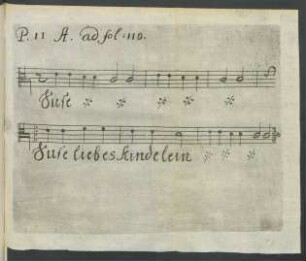 P. II A. ad fol: 110