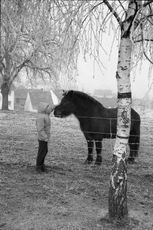 Ponyhaltung in Hohenwettersbach
