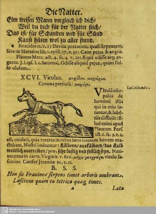 XCVI. Vitulus