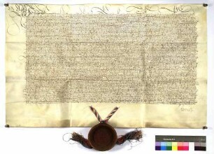 Schiedsspruch König Maximilians zwischen Herzog Georg von Bayern-Landshut und dem Schwäbischen Bund.