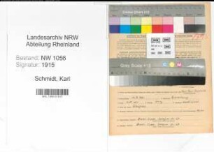Entnazifizierung Karl Schmidt , geb. 12.07.1891 (Kaufmann)
