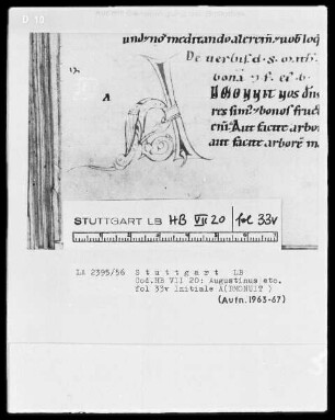 Augustinus etcetera, Sermones — Initiale A(DMONUIT), Folio 33verso