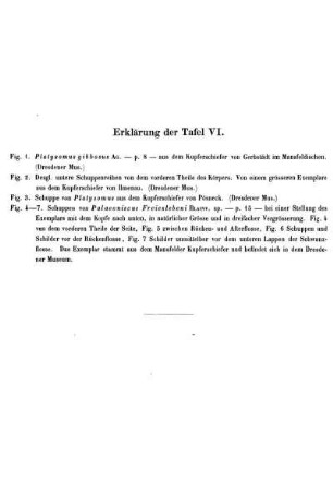 Erklärung der Taf. VI.