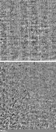 Lilienschild + IESV / LW = S.7/8+9/10