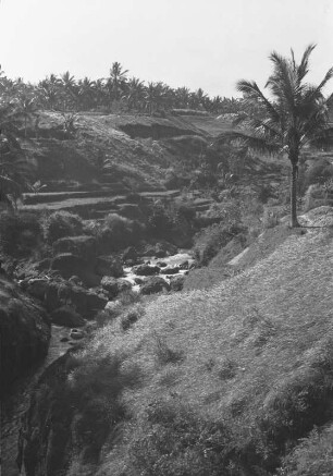 Erosionsrinnen : Flusslandschaft mit Palmen und Hügeln