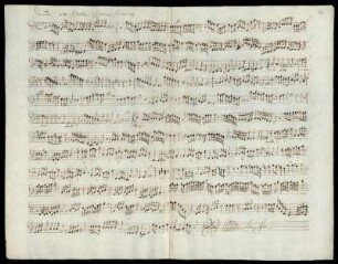 Superius secundus.