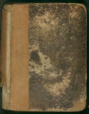 Lorelei : eine Schloß- und Waldgeschichte