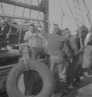 Stralsund. Fischereihafen, Fischer beim Be- oder Entladen eines Bootes