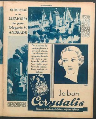 Homenaje a la memoria del poeta Olegario V. Andrade [Fotografías]