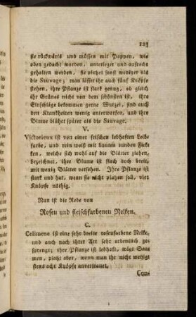 123-127, Rosen und fleischfarbenen Nelken