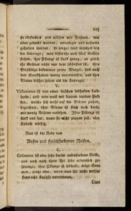 123-127, Rosen und fleischfarbenen Nelken