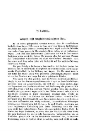 VI. Capitel. Augen mit ungleichmässigem Bau