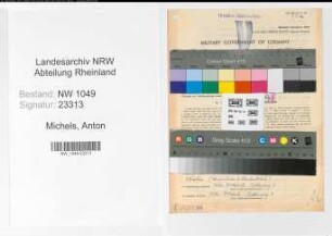Entnazifizierung Anton Michels , geb. 10.07.1887 (Bankangestellter)