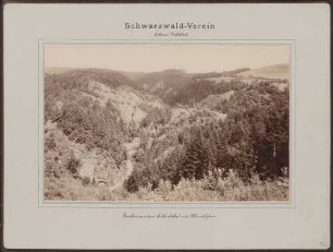 Partie aus dem Schlüchttal mit Allmuthfelsen im Südschwarzwald