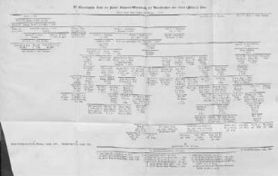 D. Genealogische Tafel des Hauses Scheyern-Wittelsbach, der Rudolfinischen oder ältern (Pfälzer) Linie