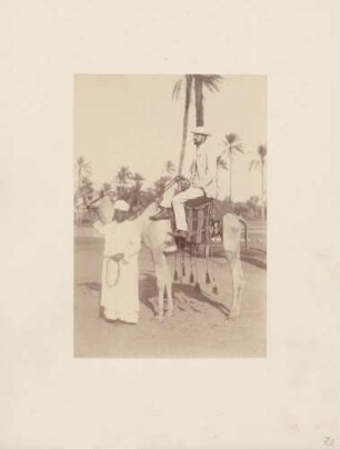 Kronprinz Gustav V. von Schweden auf einem Kamel in Ägypten