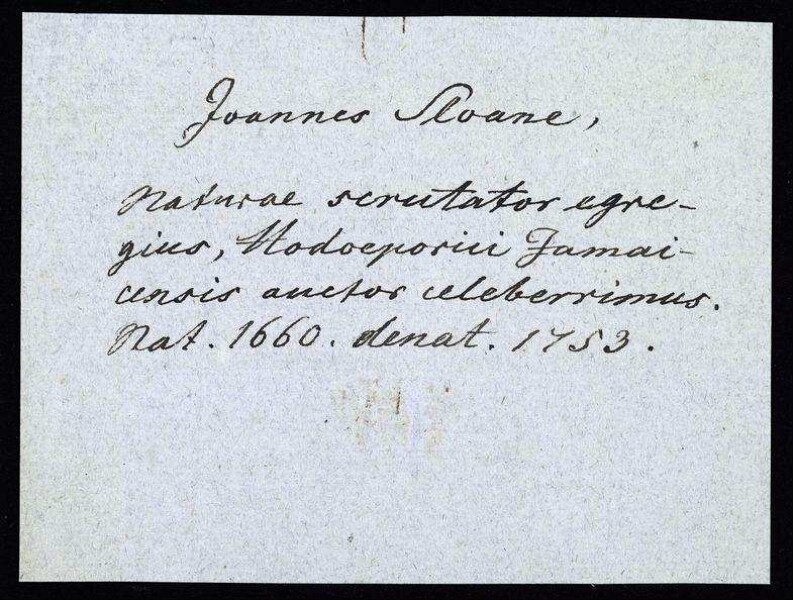 Sloane, Hans