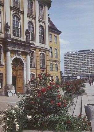 Dresden. Landhaus, Mittelrisalit