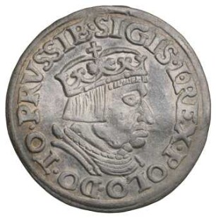Polen: Dreigröscher 1536