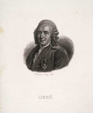 Linné, Carl von