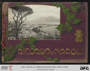 Ricordo di Napoli