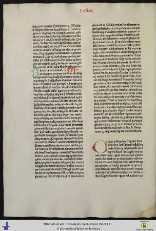 Prologi in librum Job