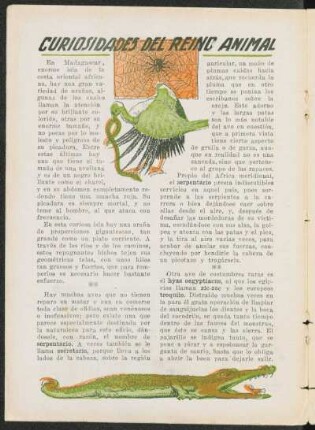 Curiosidades del reino animal