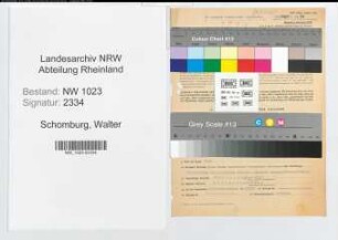 Entnazifizierung Walter Schomburg , geb. 06.07.1904 (Steuerinspektor)