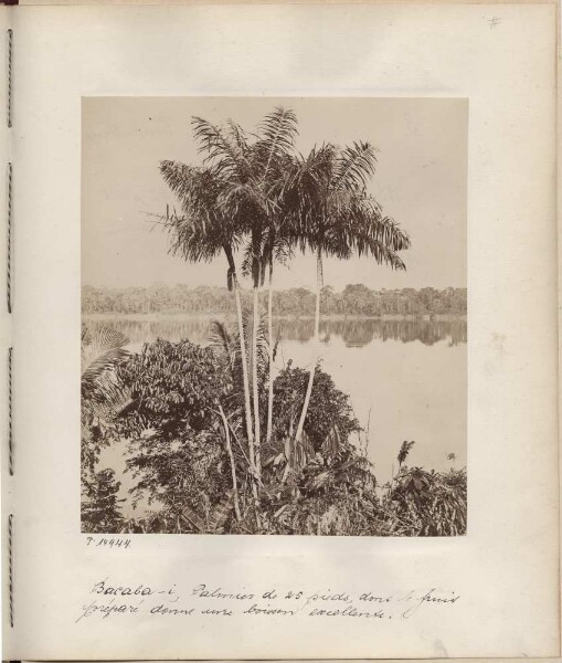 Flooded landscape at Lake Coari