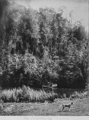 Am Rio Futaleufú : Das Ufer und der Rio Futaleufú