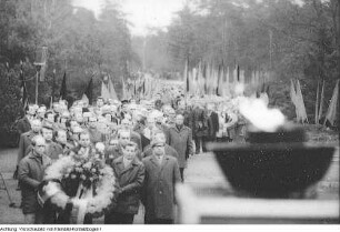 Kranzniederlegung am Gedenkstein für die Opfer des anglo-amerikanischen Luftangriffes auf Dresden am 13.-14. Februar 1945