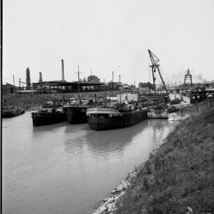 Mannheim. Blick auf den Hafen am Rhein