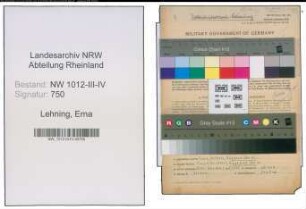 Entnazifizierung Erna Lehning , geb. 08.08.1890 (Lehrerin)