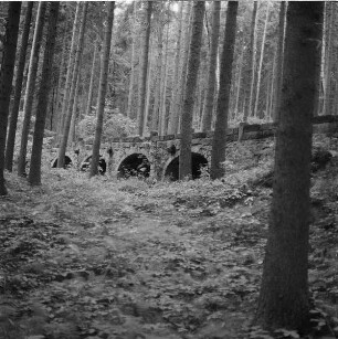 Hohe Brücke : Pirna-Graupa. Hohe Brücke, Sandstein-Bogenbrücke, Talseite. 1701/1800. 3. Brücke im Zuge des Fahrweges Wünschendorf - Graupa