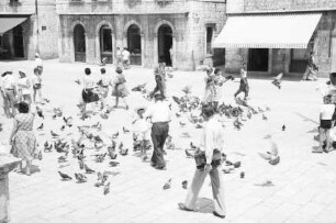 Dubrovnik: Taubenfütterung am Luza Platz