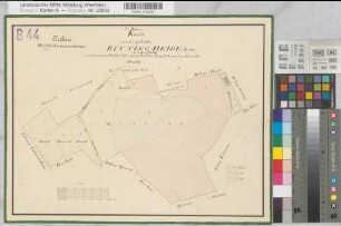 Bösensell (Senden), Teilung der Bittingheide, Reinkarte I