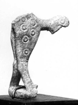 Pferd (Vorderteil)