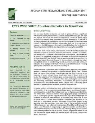 Eyes wide shut : counter-narcotics in transition