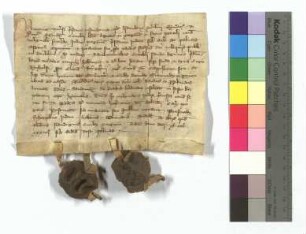 [Text = U / 1334 März 18 / I]. Mit Eid besagt vor Salmannus, Kämmerer, und Richter Scherplinus. "Actum 1334 feria secunda post Palmas."
