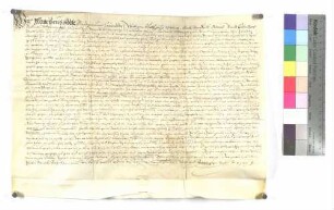 Lehenbrief des Klosters Wiblingen über einen Hof zu Hüttisheim