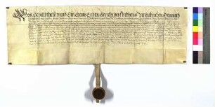 Geburtsbrief für Michael Brenz von Neunkirchen